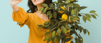 как вырастить лимонное дерево